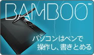 BAMBOO